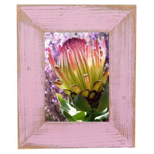 Mein Landhaus Bilderrahmen aus echtem Alt-Holz Stil Vintage, rustikal - handgefertigte Unikate in Rose 13x18 Mein Landhaus Bilderrahmen aus echtem Alt-Holz Stil Vintage, rustikal - handgefertigte Unikate in Rose 13x18 von Mein Landhaus