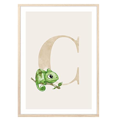 MeinBaby123® Buchstaben Poster DIN A4 Kinderzimmer Mädchen und Junge | Babyzimmer Deko | Bilder Kinderzimmer | Geschenkideen zur Geburt | Anfangsbuchstabe C (süßes Chamäleon) von MeinBaby123
