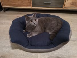 Katzenbett/Hundebett für kleine Hunde Katzenbett/Hundebett für kleine Hunde von Meine Schnitte.de