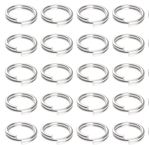 100 Stück 10 mm Schlüsselringe Schlüsselanhänger mit Doppelschlaufen, kleine Metallringe, Verbindungsstücke für Schmuck, Halsketten, Armbänder 100 Stück 10 mm Schlüsselringe Schlüsselanhänger mit Doppelschlaufen, kleine Metallringe, Verbindungsstücke für Schmuck, Halsketten, Armbänder von Meiturzhen