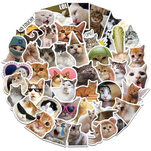 50 Stück Lustiges Katzen Aufkleber Set, Wasserfeste Katzen Meme Sticker, Katzen Aufkleber, Kreatives DIY für Laptop Mobiltelefone Skateboard Gepäck etc, Geeignet für Erwachsene und Kinder von Meleager