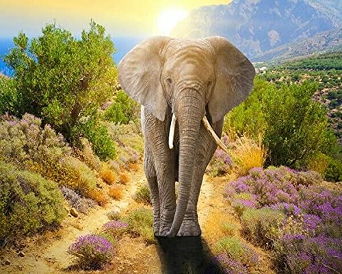5D DIY Diamond Painting Diamant Malerei Vollbild Kreuzstich Stickerei Bastelset Elefant 30x40 (GM311) von Menga