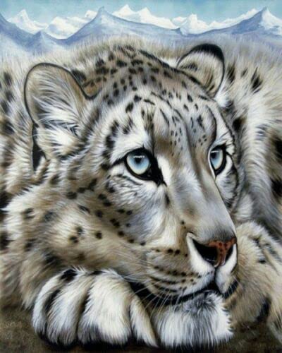 DIY 5D Diamond Painting -Diamant Malerei Bild 30x40cm Polar Tiger Wandbild Deko Basteln Malen von Menga