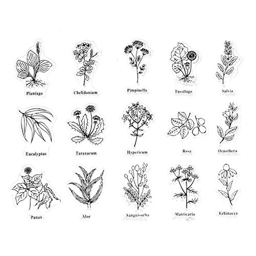 Mentin Plante und Blätter Stempel aus Silikon, transparent, für Scrapbooking, DIY von Mentin