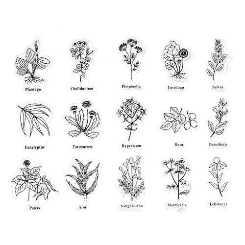 Mentin Plante und Blätter Stempel aus Silikon, transparent, für Scrapbooking, DIY von Homry