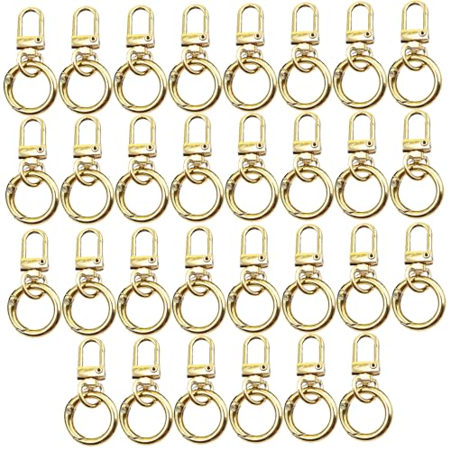 30 pcs Schlüsselbundclip, 360-Grad-Rotatable-Schwenk-Schnapphaken mit runden Ring, Zinklegungsschurkenklauen für Schlüsselanhänger, Lanyards, Rucksäcke, Haustierleine, DIY-Handwerk von Meooyo