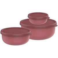 MEPAL Frischhaltedosen-Set Lumina 2.0 rot 0,25/0,75/1,5 l, 1 Set MEPAL Frischhaltedosen-Set Lumina 2.0 rot 0,25/0,75/1,5 l, 1 Set von Mepal