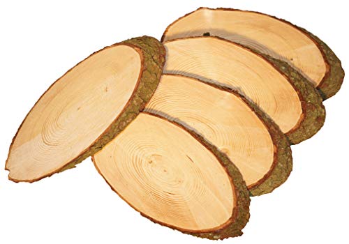 Mercarimus 5 Stück ovale Holzscheiben Länge ca. 35 cm Breite ca. 17 cm Baumscheiben Astscheiben mit Rinde Rindenscheibe Deko Basteln Floristik Hochzeit Mercarimus 5 Stück ovale Holzscheiben Länge ca. 35 cm Breite ca. 17 cm Baumscheiben Astscheiben mit Rinde Rindenscheibe Deko Basteln Floristik Hochzeit von Mercarimus