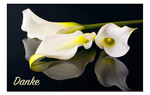 30 Exclusive Premium Danksagungskarten Trauerkarten Klappkarten mit 30 Umschlägen im Set - Danke - Dankekarten Motiv Blume Trauerkarte Sterbefall Danksagungskarten Edler Premiumoffsetdruck 30 Exclusive Premium Danksagungskarten Trauerkarten Klappkarten mit 30 Umschlägen im Set - Danke - Dankekarten Motiv Blume Trauerkarte Sterbefall Danksagungskarten Edler Premiumoffsetdruck von Merz Designkarten