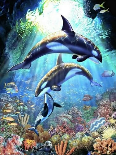 Mesribandy Kreuzstich Stickpackung 11CT Vorgedruckt Kreuzstich SetOzean-Delfin DIY Starter Stickbild Handwer Geschenk Heimdekoration 50x70 cm von Mesribandy