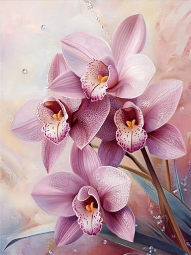 Mesribandy Vorgedruckt Kreuzstich Stickpackungen 11CT Sticken Set Erwachsene Kreuzstich Phalaenopsis-Orchidee Stickbilder für Anfänger Home Decor 40x50 cm von Mesribandy