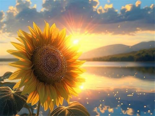 Mesribandy Vorgedruckt Kreuzstich Stickpackungen 11CT Sticken Set Erwachsene Kreuzstich Sonnenblumen Stickbilder für Anfänger Home Decor 50x70 cm von Mesribandy