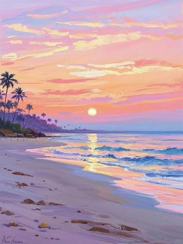 Mesribandy Vorgedruckt Kreuzstich Stickpackungen 11CT Sticken Set Erwachsene Kreuzstich Sonnenuntergangsstrand Stickbilder für Anfänger Home Decor 40x50 cm von Mesribandy