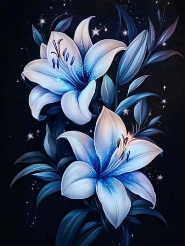 Mesribandy Vorgedruckt Kreuzstich Stickpackungen 11CT Sticken Set Erwachsene Kreuzstich Sternenlichtblume Stickbilder für Anfänger Home Decor 50x70 cm von Mesribandy