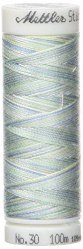 Mettler-258–5376# 30 Multi Cord Reel für Stickgarn 100 m (5 Stück (5 Stück von Mettler