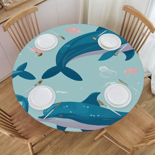 Mexpekil Runde Tischdecke, Cartoon-Delfin, Meerestiere, runde Tischdecke, elastisch, wasserdicht, Tischdecke für drinnen und draußen, Küche, Garten, Esszimmer, M von Mexpekil
