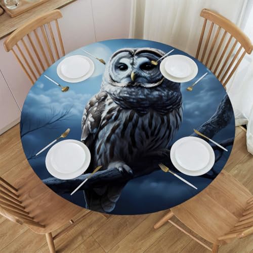 Mexpekil Runde Tischdecke, wasserdicht, abwischbar, mit elastischem Rand, Halloween-Eule, Mond, runder Tischschutz für Küche, Esstisch, S, 101,6 - 111,8 cm von Mexpekil