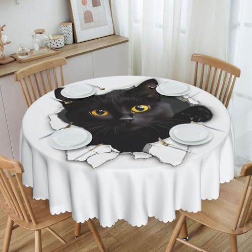 Mexpekil Runde Tischdecke mit lustiger Katze, abwischbar, wasserdicht, schmutzabweisend, Tischschutz, Dekoration, Tischdecke für drinnen und draußen, 150 cm Mexpekil Runde Tischdecke mit lustiger Katze, abwischbar, wasserdicht, schmutzabweisend, Tischschutz, Dekoration, Tischdecke für drinnen und draußen, 150 cm von Mexpekil