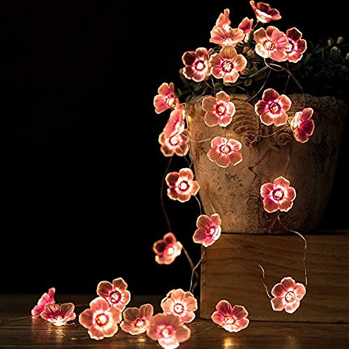 Kirschblüten Lichterkette, LED Lichterkette Blumen 30 LEDs LED Micro Blumen Lichterkette für Mädchen, Schlafzimmer, Kinderzimmer, Hochzeit, Valentinstag Deko, Geschenk von MiOYOOW