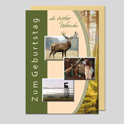 Michel Verlag Edle Glückwunschkarte ZUM GEBURTSTAG für Jagd Jäger Flinte Büchse Jagdhorn Naturliebhaber. Klappkarte mit Folienprägung, Format 12x17cm, inkl. Umschlag. Made in Germany! (Jagd/Hirsch) Michel Verlag Edle Glückwunschkarte ZUM GEBURTSTAG für Jagd Jäger Flinte Büchse Jagdhorn Naturliebhaber. Klappkarte mit Folienprägung, Format 12x17cm, inkl. Umschlag. Made in Germany! (Jagd/Hirsch) von Michel Verlag