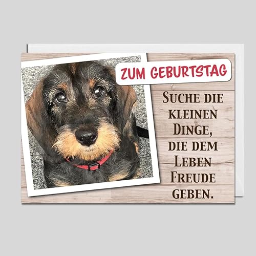 Michel Verlag Grußkarte Zum GEBURTSTAG DACKEL, tierische Glückwunschkarte, niedliche Klappkarte Teckel Hund Tiere Dachshund, für Hundefreunde Dackelfreunde inkl. Umschlag. 17x12cm, Made in Germany! Michel Verlag Grußkarte Zum GEBURTSTAG DACKEL, tierische Glückwunschkarte, niedliche Klappkarte Teckel Hund Tiere Dachshund, für Hundefreunde Dackelfreunde inkl. Umschlag. 17x12cm, Made in Germany! von Michel Verlag