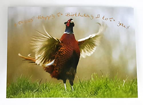 Michel Verlag Hochwertige Glückwunschkarte ZUM GEBURTSTAG, Klappkarte mit Fasan, Natur, Jagd, Jäger. Grußkarte 12x17cm mit Goldprägung inkl. passendem Umschlag. Made in Germany! von Michel Verlag