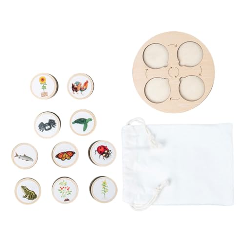 Mikinona Holz Tierlebenszyklus Modell mit Wachstumszyklus Tafel Pädagogisches Lernspielzeug für Detailreiche Holzfiguren zur Entwicklung der Kreativität Sicher und Langlebig Mikinona Holz Tierlebenszyklus Modell mit Wachstumszyklus Tafel Pädagogisches Lernspielzeug für Detailreiche Holzfiguren zur Entwicklung der Kreativität Sicher und Langlebig von Mikinona