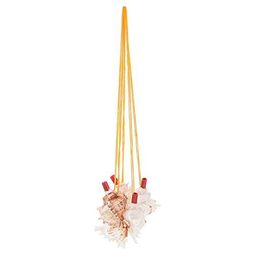 Milisten 5Stücke Dekorative Conch Pfeife Spielzeuge Für Kinderpartys Geschenkartikel Und Deko Accessoires Und Langlebig Für Drinnen Und Draußen von Milisten