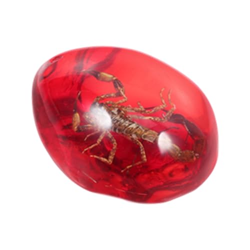 Milisten Bernsteinprobe Bernstein Insekten Wissenschaftsprobe Bernstein Stein Ornament Ovaler DIY Bernstein In Skorpionform Bernstein Handwerk Skorpionprobe Bernstein von Milisten