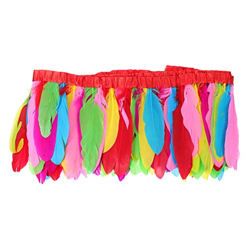 Milisten Federbesatz, Gänsefedern, Fransenbesatz, Kleid, Dekoration, natürliche Gänsefedern, Streifen für Kostü, Dekoration, DIY, Traumfänger, Federwerkzeug, 2, bunt Milisten Federbesatz, Gänsefedern, Fransenbesatz, Kleid, Dekoration, natürliche Gänsefedern, Streifen für Kostü, Dekoration, DIY, Traumfänger, Federwerkzeug, 2, bunt von Milisten