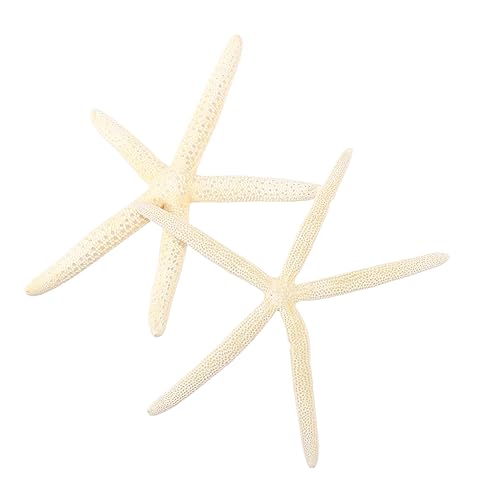 Milisten Finger-hochzeitsdekoration Natürlicher Seestern Requisite Knorriger Seestern Basteln Heimdekoration 2 Stück 20–23 cm Milisten Finger-hochzeitsdekoration Natürlicher Seestern Requisite Knorriger Seestern Basteln Heimdekoration 2 Stück 20–23 cm von Milisten