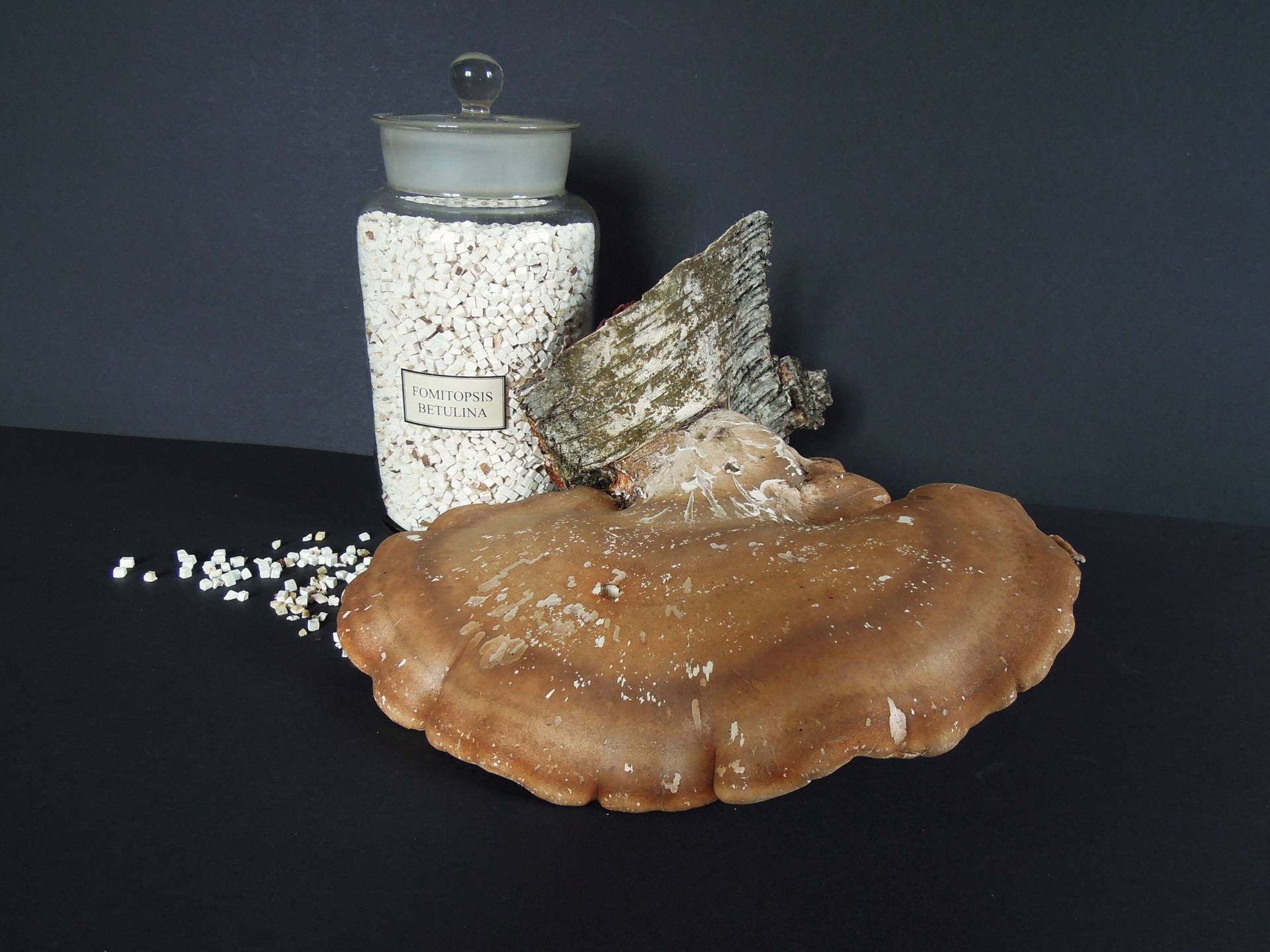 Birkenporling 500 G Tee Feinste Würfel Wildsammlung Natur Bio Baumpilz Fomitopsis Betulina Verdauungstee Magentee Birkenporling 500 G Tee Feinste Würfel Wildsammlung Natur Bio Baumpilz Fomitopsis Betulina Verdauungstee Magentee von Miloriblau
