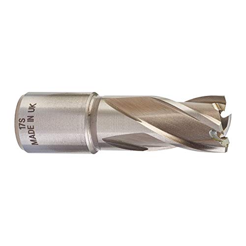 HSS-freeskroon 17 x 30 mm von Milwaukee