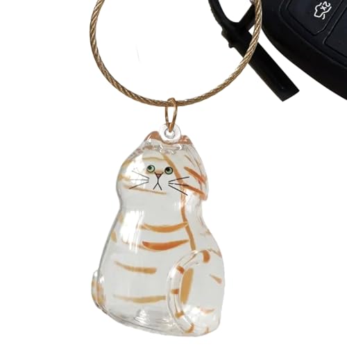 Mimoqk Cat Hair Storage Bottle, Clear Keepsake Container, Portable Mini Bin, Secure Lid Design, Transparent, Pet Memorial Supply for Travel Car Home Sympathy Use and More von Mimoqk