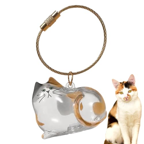 Mimoqk Cat Hair Storage Bottle, Clear Keepsake Container, Portable Mini Bin, Secure Lid Design, Transparent, Pet Memorial Supply for Travel Car Home Sympathy Use and More von Mimoqk
