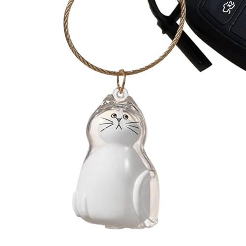 Mimoqk Cat Hair Storage Bottle, Clear Keepsake Container, Portable Mini Bin, Secure Lid Design, Transparent, Pet Memorial Supply for Travel Car Home Sympathy Use and More von Mimoqk