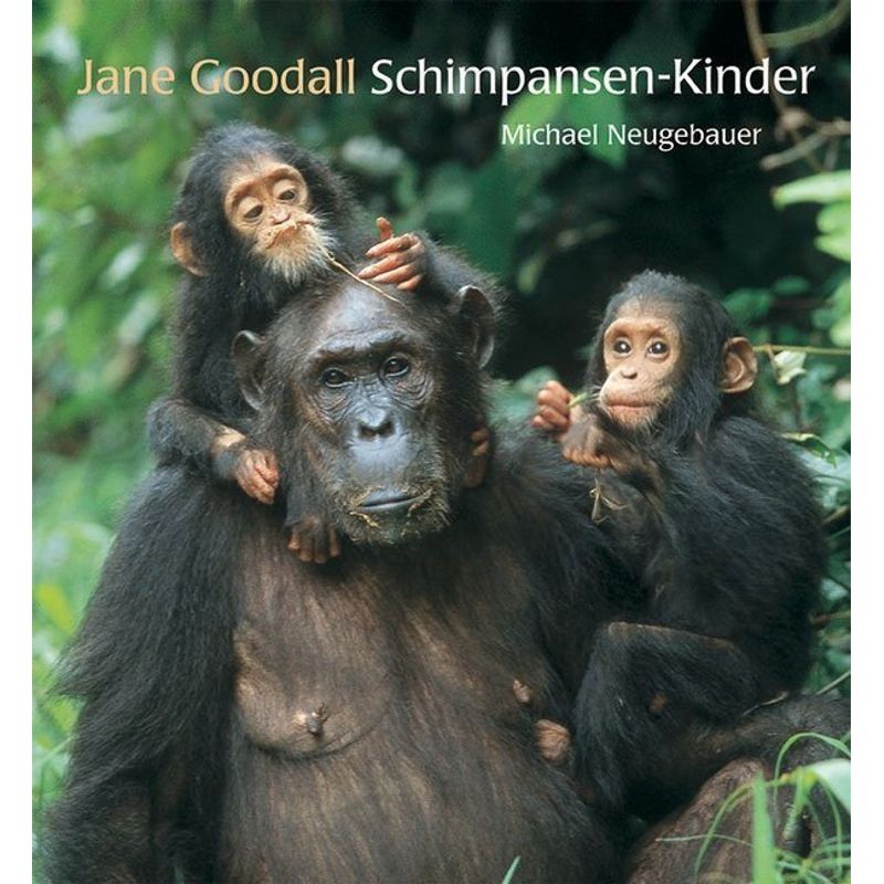 Schimpansen-Kinder - Jane Goodall, Gebunden von Minedition