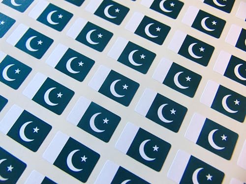 Kleine Mini-Aufkleber, 20 x 12 mm, Pakistan, Pakistanische Landesflagge, Aufkleber, Klebeetiketten, 64 Stück von Minilabel