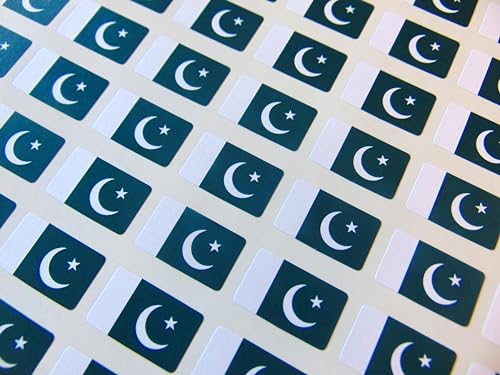 Kleine Mini-Aufkleber, 20 x 12 mm, Pakistan, Pakistanische Landesflagge, Aufkleber, Klebeetiketten, 64 Stück Kleine Mini-Aufkleber, 20 x 12 mm, Pakistan, Pakistanische Landesflagge, Aufkleber, Klebeetiketten, 64 Stück von Minilabel