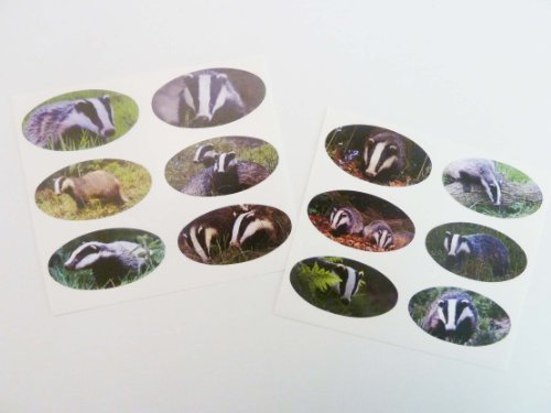 Mini Aufkleber Pack of 12 Dachs Sticker , 40x20mm Oval , selbstklebend Etiketten von Minilabel