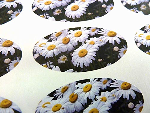 Pack Of 48 Gänseblümchen, 40x20mm Ovale Siegel Etiketten Aufkleber für Geschenkverpackung Geschenke, Umschläge, Taschen oder Karten Pack Of 48 Gänseblümchen, 40x20mm Ovale Siegel Etiketten Aufkleber für Geschenkverpackung Geschenke, Umschläge, Taschen oder Karten von Minilabel