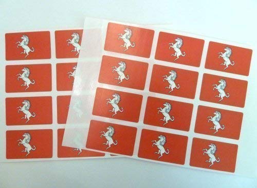 Packung mit 24, 50x30mm, Kent Selbstklebend Flagge Sticker, selbstklebende Grafschaft Flagge Etiketten von Minilabel