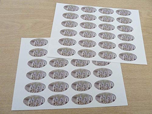 Packung mit 48 Erdmännchen, 40x20mm Ovale Siegel Etiketten,Aufkleber Dekoration,Geschenke Geschenke,Umschläge,Taschen oder Karten von Minilabel