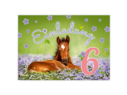 Minkocards 12 Einladungskarten zum 6. Kindergeburtstag Mädchen Pferd Einladung sechste Geburtstag Kinder bunte Geburtstagseinladungen von Minkocards