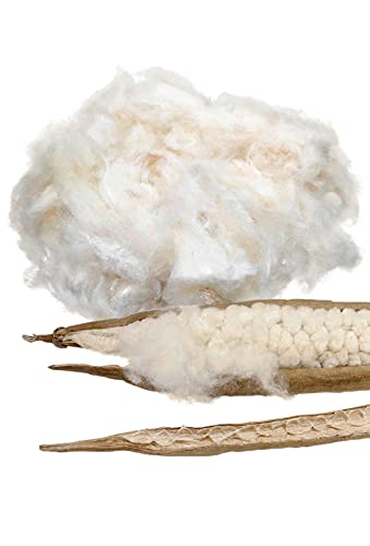 Minky Mooh Kapok Füllmaterial - Vegan, naturbelassen, Füllwatte für Allergiker - Atmungsaktive Kapokfaser, Füllwatte für Stillkissen, Füllwatte für Kuscheltiere - Füllmaterial für Kissen, 1kg Minky Mooh Kapok Füllmaterial - Vegan, naturbelassen, Füllwatte für Allergiker - Atmungsaktive Kapokfaser, Füllwatte für Stillkissen, Füllwatte für Kuscheltiere - Füllmaterial für Kissen, 1kg von Minky Mooh