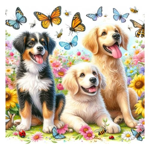 Diamond Painting Hund,Diamond Painting Erwachsene Tier,Diamond Art Erwachsene Set Home Wand Dekor for Gift(30x30cm) von Miquans Art