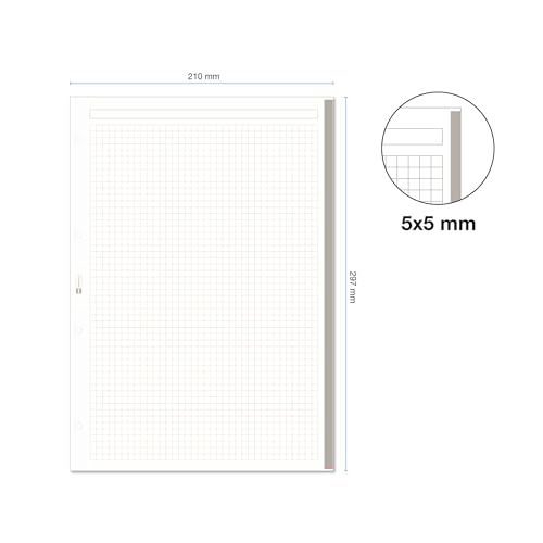 Miquelrius - Nachfüllblock A4 mit karierten Blättern 5x5 mm, 100 Blatt, 90 g/m², Mit Standardlochung für Ringordner, Schulmaterial, Farbe Grau Miquelrius - Nachfüllblock A4 mit karierten Blättern 5x5 mm, 100 Blatt, 90 g/m², Mit Standardlochung für Ringordner, Schulmaterial, Farbe Grau von Miquelrius