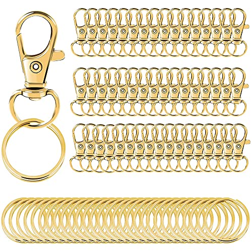MisFun 100 Stück Schlüsselringe Drehgelenk Karabiner, Schlüsselanhänger Ringe, Schlüsselringe Klein, Schlüsselanhänger Basteln, Schlüsselanhänger Set Selber Machen für Diy Schmuck Handwerk MisFun 100 Stück Schlüsselringe Drehgelenk Karabiner, Schlüsselanhänger Ringe, Schlüsselringe Klein, Schlüsselanhänger Basteln, Schlüsselanhänger Set Selber Machen für Diy Schmuck Handwerk von MisFun