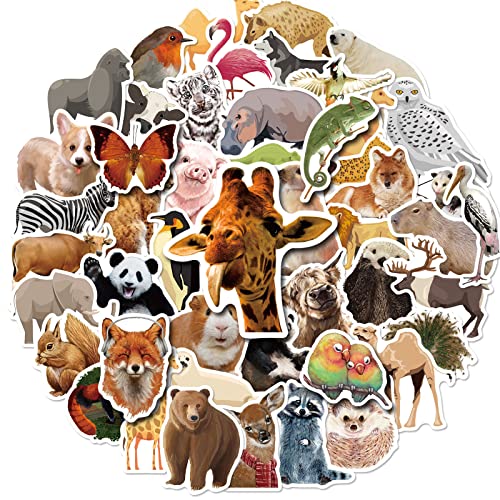 Mistree 50 Stücke Realistisch Aufkleber Tiere Kinder, Aufkleber Tierschutz Kinder Lustig, Sticker Tiere Dschungel, Wasserfeste Mistree 50 Stücke Realistisch Aufkleber Tiere Kinder, Aufkleber Tierschutz Kinder Lustig, Sticker Tiere Dschungel, Wasserfeste von Mistree