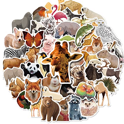 Mistree 50 Stücke Realistisch Aufkleber Tiere Kinder, Foto Aufkleber Kinder Lustig, Sticker Tiere Dschungel, Wasserfeste von Mistree